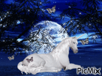 les licorne - Ilmainen animoitu GIF