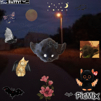 Bat stimboard animuotas GIF