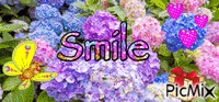 Smile GIF animata