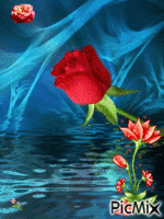 ROSE - Zdarma animovaný GIF