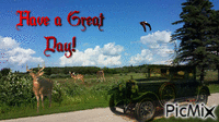 have a great lake of the woods ontario day animovaný GIF