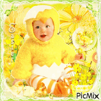 Easter Chick Baby - Free animated GIF