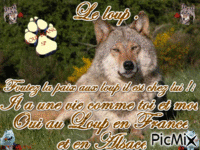 Le loup !! - 免费动画 GIF