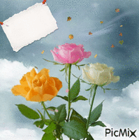3 roses - Free animated GIF