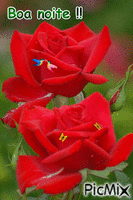 Rosas. - GIF animate gratis