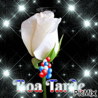 Boa Tarde - Free animated GIF