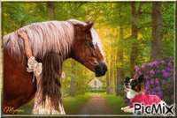 fille avec son cheval et chien geanimeerde GIF