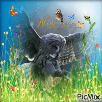 welcome owl geanimeerde GIF