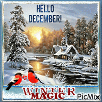 Hello December... Winter Magic