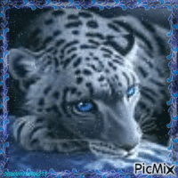 Snow Leopard - Nemokamas animacinis gif