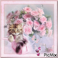 Kitten and Roses