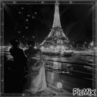 Mariage à Paris - Nemokamas animacinis gif