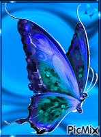 mariposa animovaný GIF