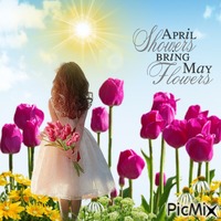 Tulips bloomiing in May - GIF animé gratuit