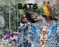 BATS - GIF animé gratuit