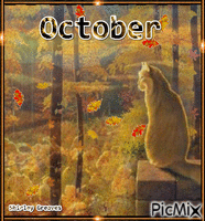 October cat κινούμενο GIF