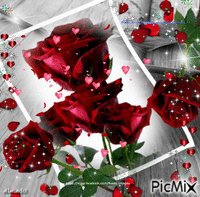 la rose enchantée - Darmowy animowany GIF