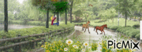 hermosos caballos - Бесплатный анимированный гифка