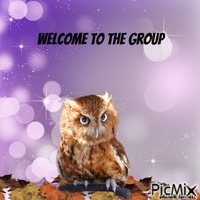 welcome owl - Free animated GIF