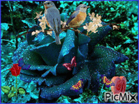 Ptáčci - Bezmaksas animēts GIF