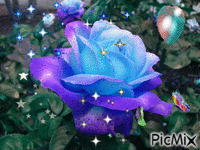 sweet rose - GIF animado gratis
