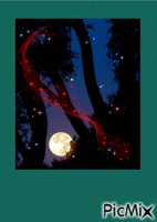 notte - 無料のアニメーション GIF