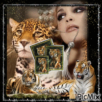 Tiger and Leopard Theme GIF แบบเคลื่อนไหว