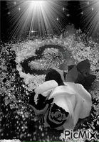 Un coeur Noir анимиран GIF
