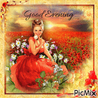 Good Evening Poppies - Бесплатный анимированный гифка