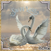 Swan Lake - GIF animado gratis