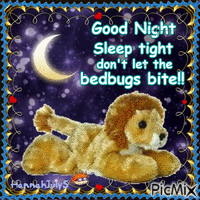 Good night, sleep tight, don't let the bedbugs bite!! animasyonlu GIF
