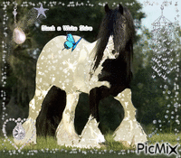 Black n White Shire Horse - GIF animé gratuit