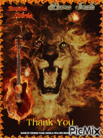 LION ON FIRE