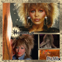 HOMMAGE A TINA TURNER - Free animated GIF
