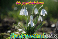 kwiatki wiosenne - Nemokamas animacinis gif