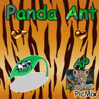 animal prints - Безплатен анимиран GIF