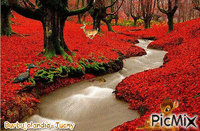 paisajes otoño - Darmowy animowany GIF