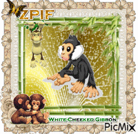White-Cheeked Gibbon - 無料のアニメーション GIF