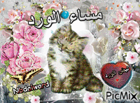 مساء المحبه والموده animovaný GIF