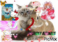 Hello kitty bunny friends💕 animerad GIF