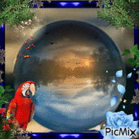 reflejos en una esfera de agua.. animovaný GIF