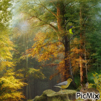 Im Wald - In the forest анимиран GIF