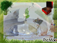 le chat et la souris animēts GIF