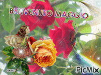 BENVENUTO MAGGIO animovaný GIF