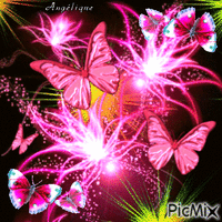 Joli papillon... 🦋🦋🦋 - Free animated GIF
