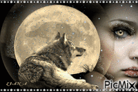the wolf and the woman - GIF animado gratis