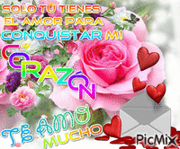 Te Amo Mucho Amor - Darmowy animowany GIF