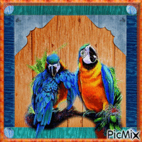 tableau couleur perroquet