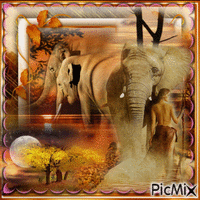Elephant - Δωρεάν κινούμενο GIF