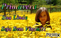 Mensagem - Primavera Sua Linda - Бесплатный анимированный гифка